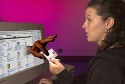 Online Clothes Sales Trumps Computer Sales