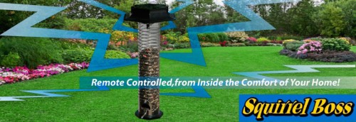 Squirrel Boss Bird Feeder Is Shockingly Effective Megatechnews