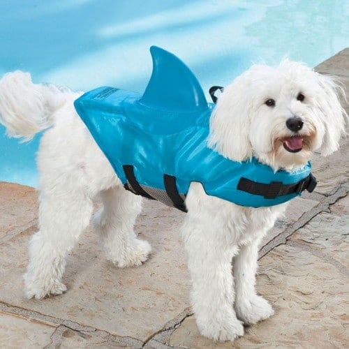shark-dog-life-jacket