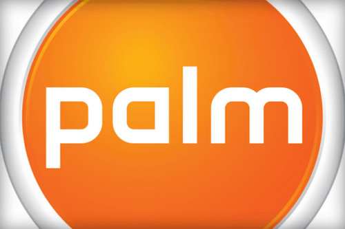 palm