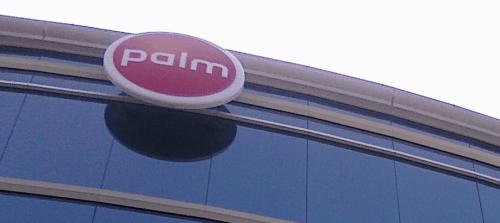 palm
