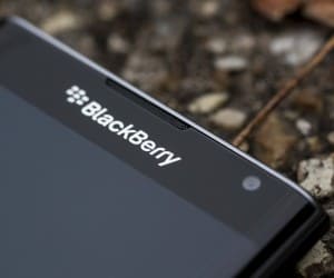 blackberry
